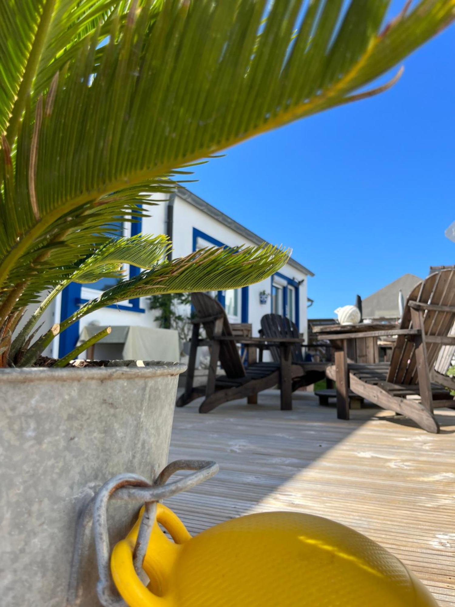 Bed and Breakfast L'Atelier De Mezareun Ushant Esterno foto
