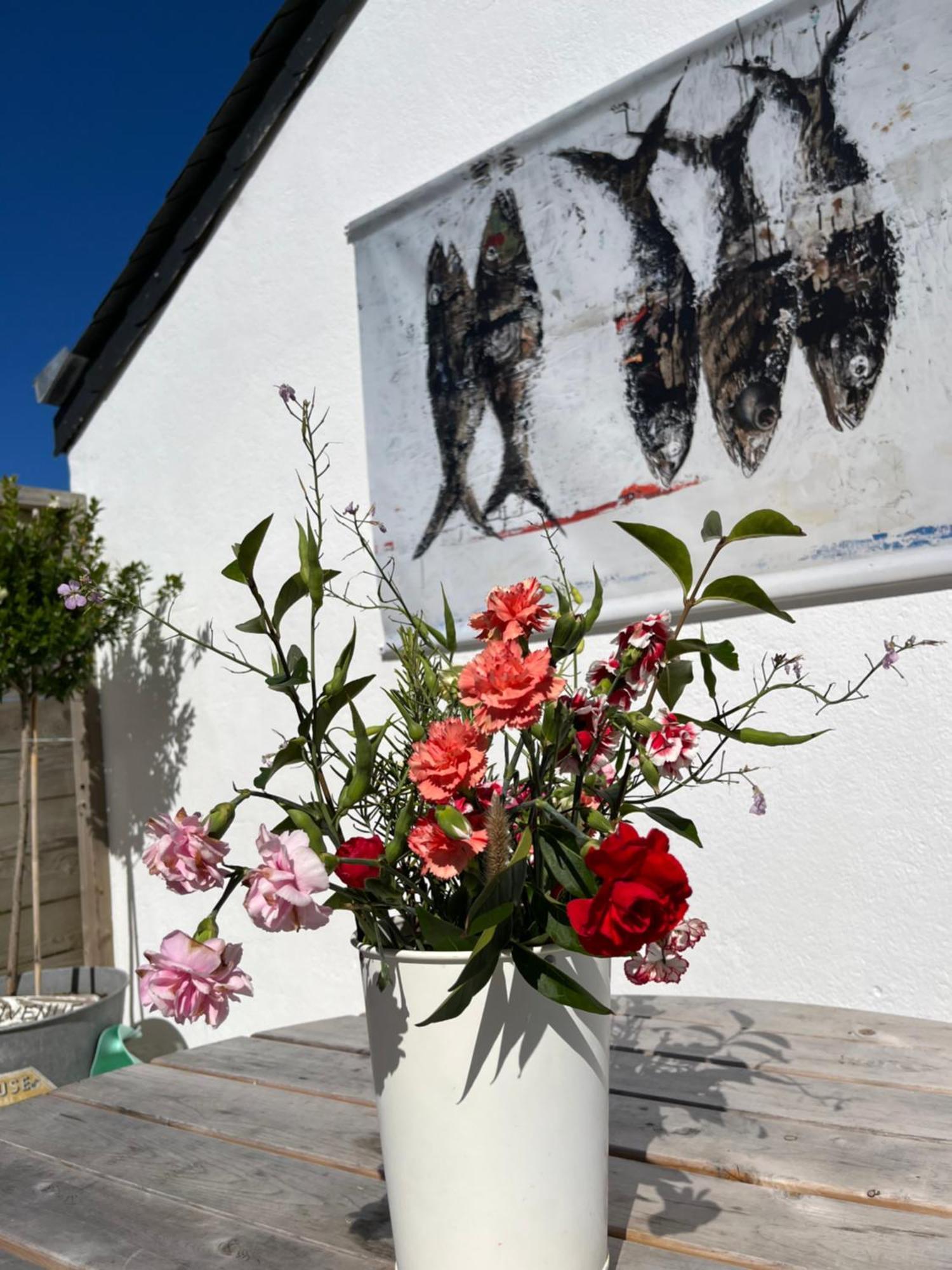 Bed and Breakfast L'Atelier De Mezareun Ushant Esterno foto